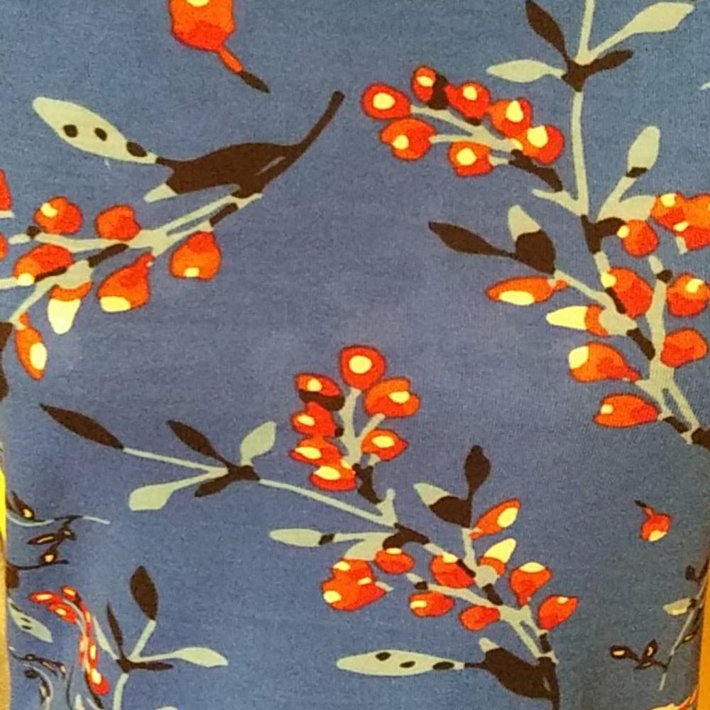 LulaRoe Randy - Picture 2 of 5